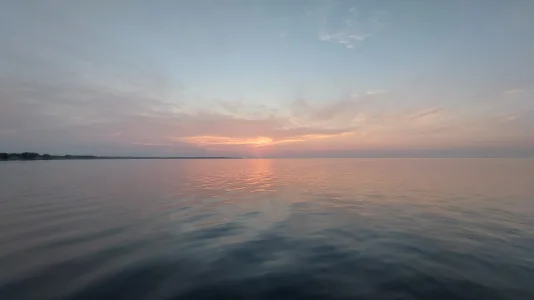 20230728_062009.webp