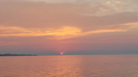 20230728_062108.webp