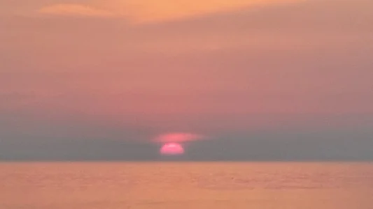 20230728_062122.webp