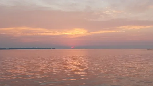 20230728_062129.webp