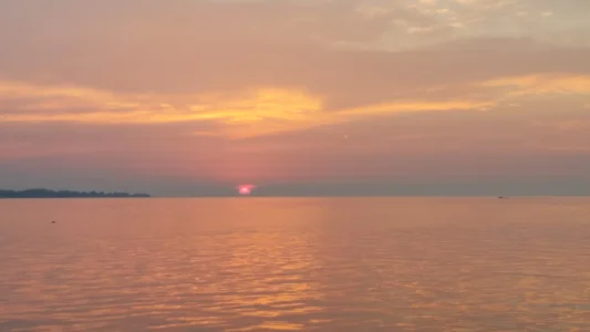 20230728_062144.webp