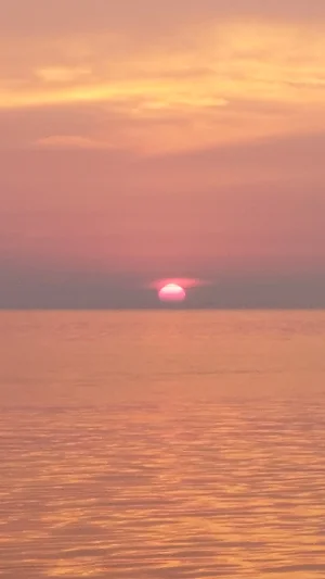 20230728_062210.webp