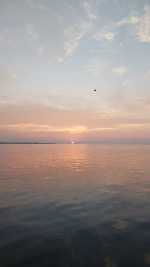 20230728_062237.webp