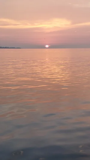20230728_062252.webp