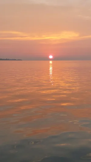 20230728_062453.webp