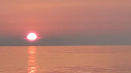 20230728_062403.webp