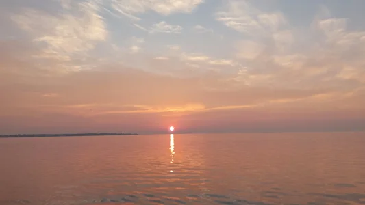 20230728_062638.webp