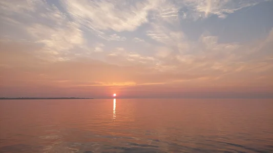 20230728_062757.webp