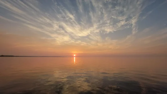 20230728_063113.webp