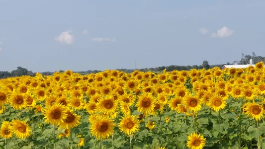 20230922_121043.webp