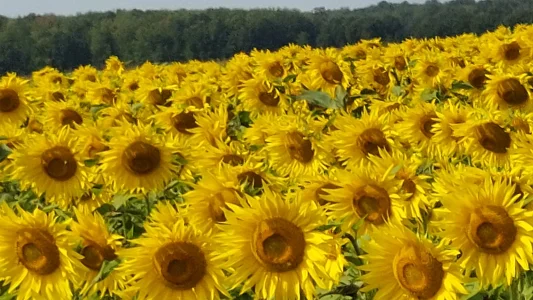 20230922_120659.webp