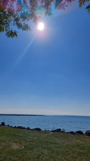 20230924_114047.webp