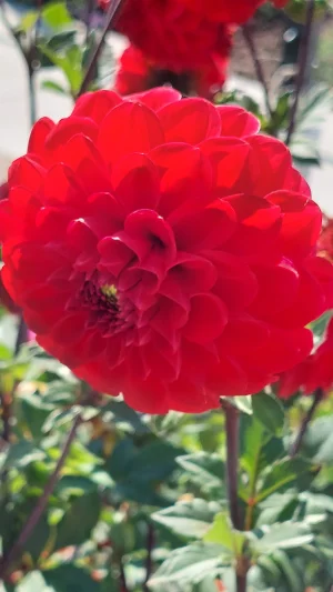 20230924_120752.webp