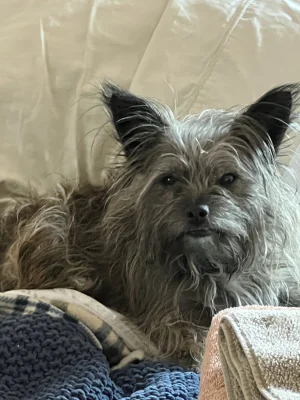 E15F66AB-8324-4422-AF45-CD3569A7D778.webp
