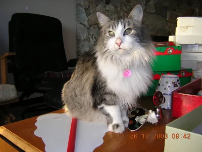 DSCN0039.webp