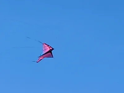 20260710_182946.webp