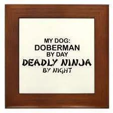 ninja doberman 2.webp