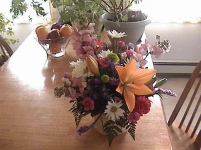 DSC00851.webp
