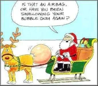 Funny christmas images.webp