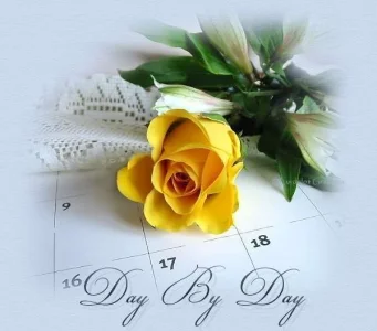 daypicwtitle.webp