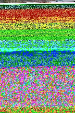 IMG_1011.webp