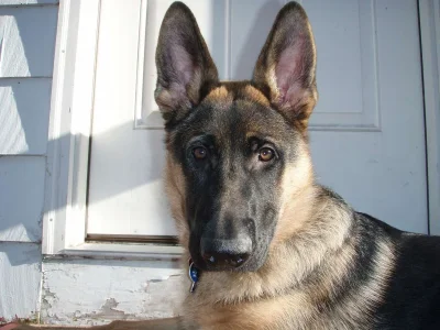 face6mo.webp