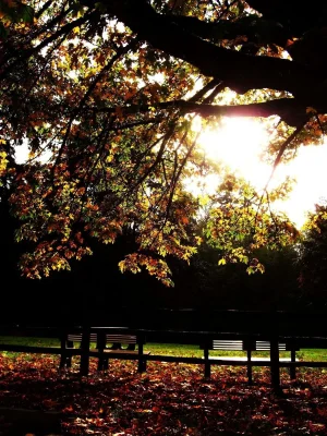 Fall photos 1 030.webp