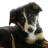Chincho