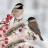 AMusingChickadee