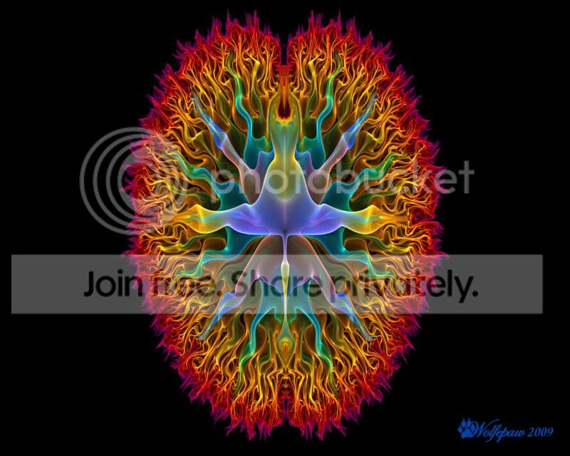 Your_Brain_on_Fractals_by_wolfepaw.jpg