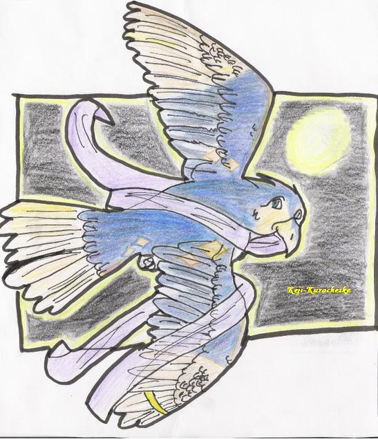 Fly_Into_the_Night_by_Keji_Kurocheske.jpg