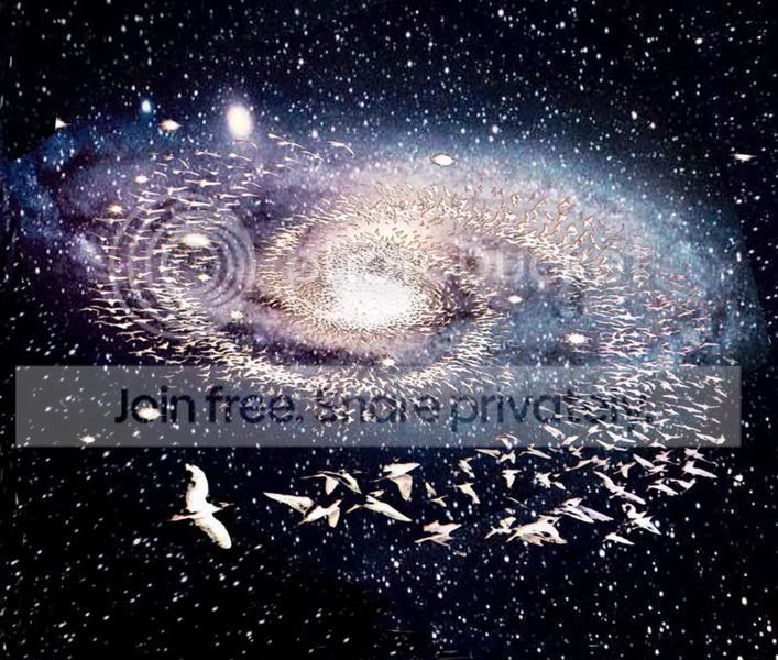 1birdgalaxy.jpg