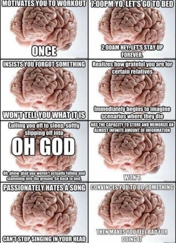 BBJkrSzCcAMLfLB.jpg