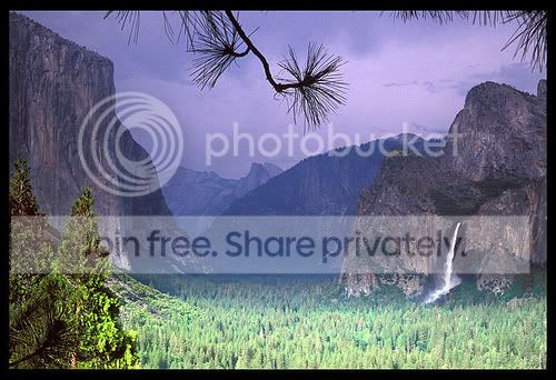 TunnelViewYosemitefloor.jpg