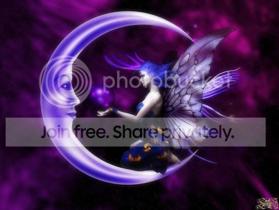 3294880.jpg