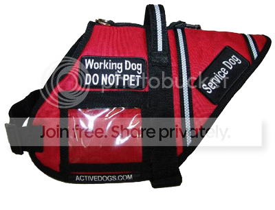 707549XLG-4_m_zpsaa1dfa1e.png