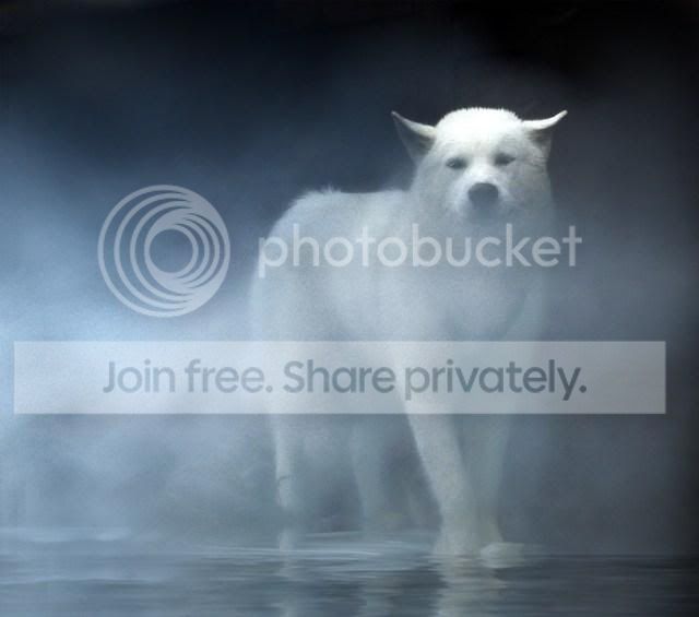 animals2023wwg.jpg