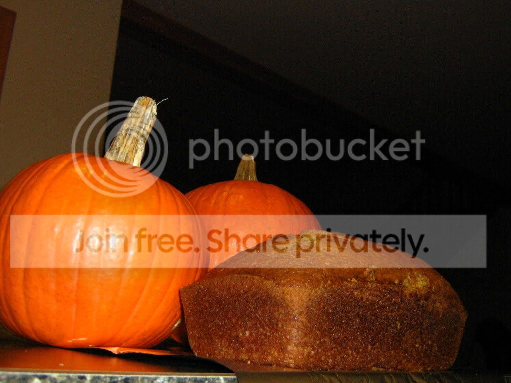 IMG_0988.jpg
