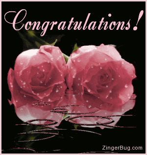congratulations_pink_roses_with_raindrops.gif