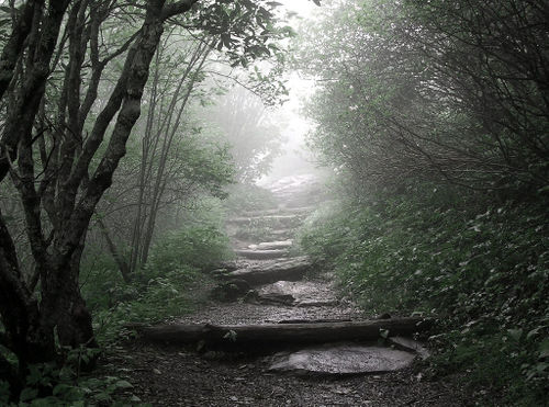 misty_mountains_by_mricon_at_flickr.jpg