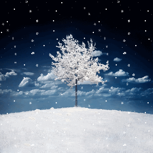 04f2bb1b.gif