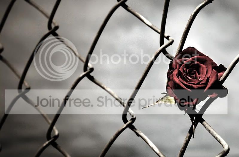 Background6.jpg