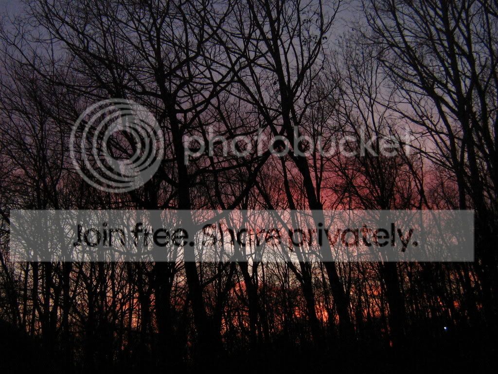 IMG_1870.jpg