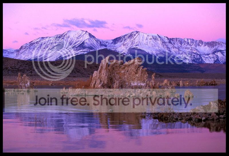 PinkMorningMonoLake.jpg