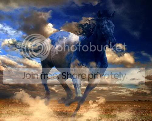 BlueSkyHorse.jpg