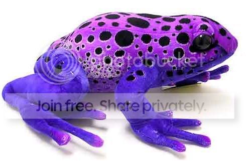 frogpurp.jpg