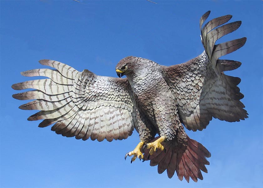 Red%20Tailed%20Hawk%20Front-3-4%20LEFT-840.jpg