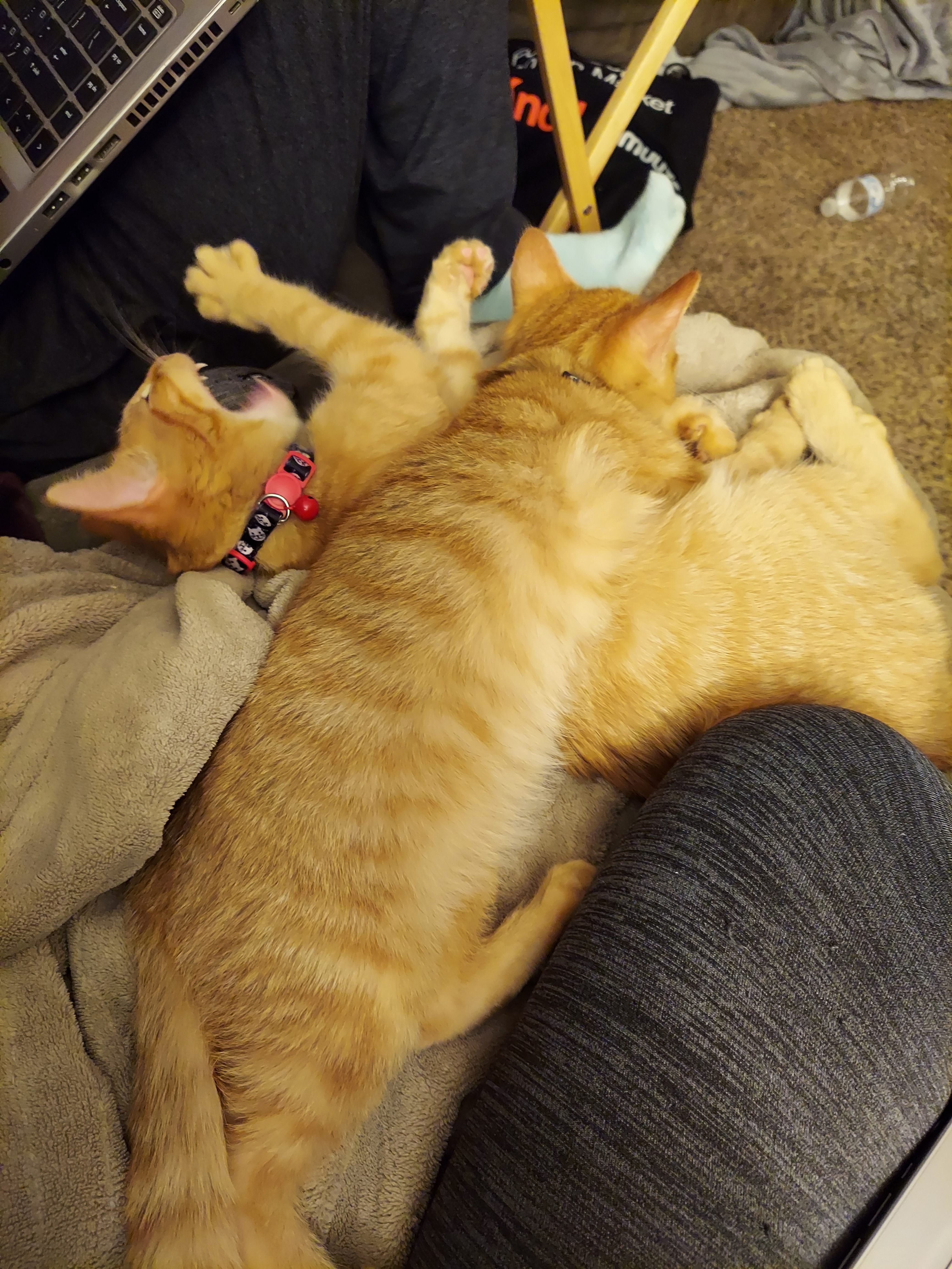 20201119_203138.jpg