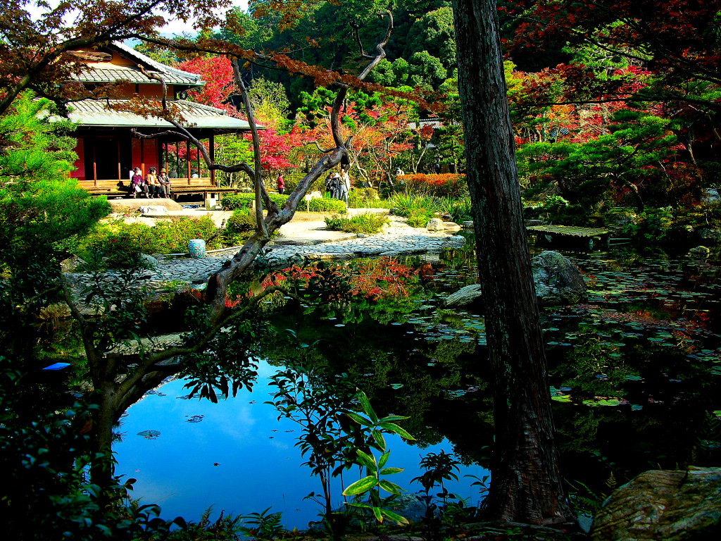 Modern-Japanese-garden.jpg