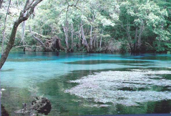 Florida2.jpg